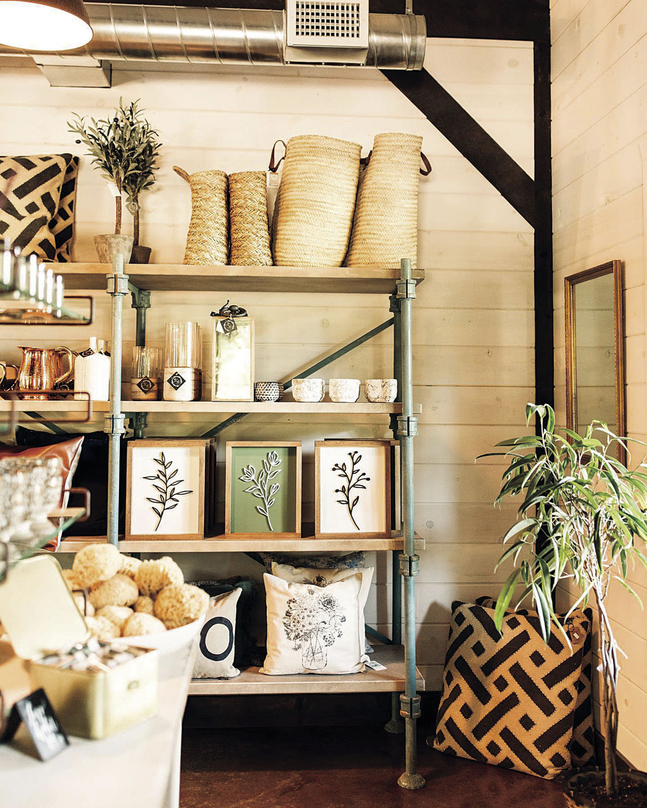 STL_longrowlavender_shelves_C_web.jpg